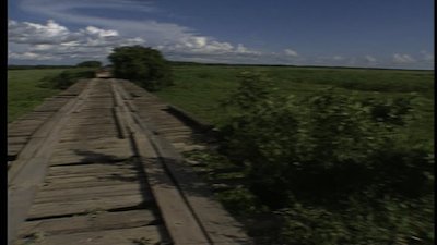 The Jeff Corwin Experience Season 1 Episode 11