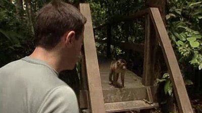 The Jeff Corwin Experience Season 1 Episode 14