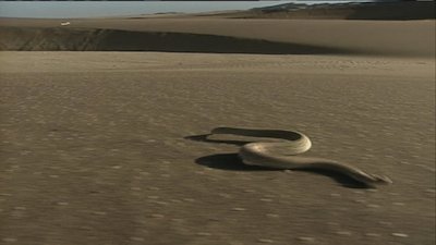 The Jeff Corwin Experience Season 1 Episode 17