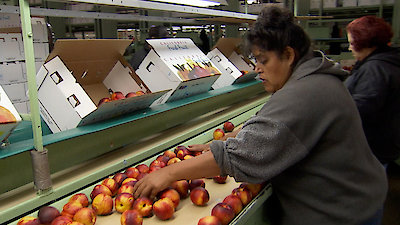 Modern Marvels Season 23 Episode 9