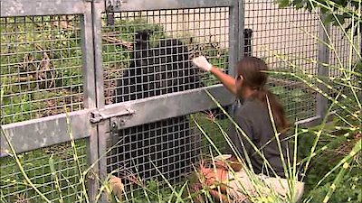 Zoo Vets Season 1 Episode 1