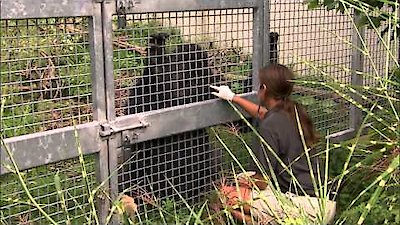 Zoo Vets Season 1 Episode 3