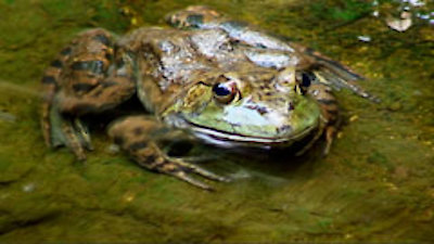 The Universe Season 2 Episode 7