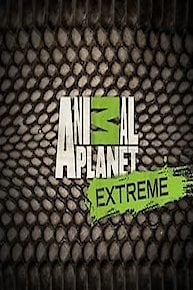 Watch Animal Planet Extreme Online - Full Episodes of Season 2 to 1 | Yidio