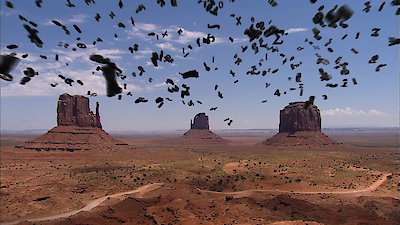 Ninja Turtles: The Next Mutation Season 1 Episode 25