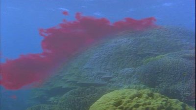 Ocean Girl Season 4 Episode 23