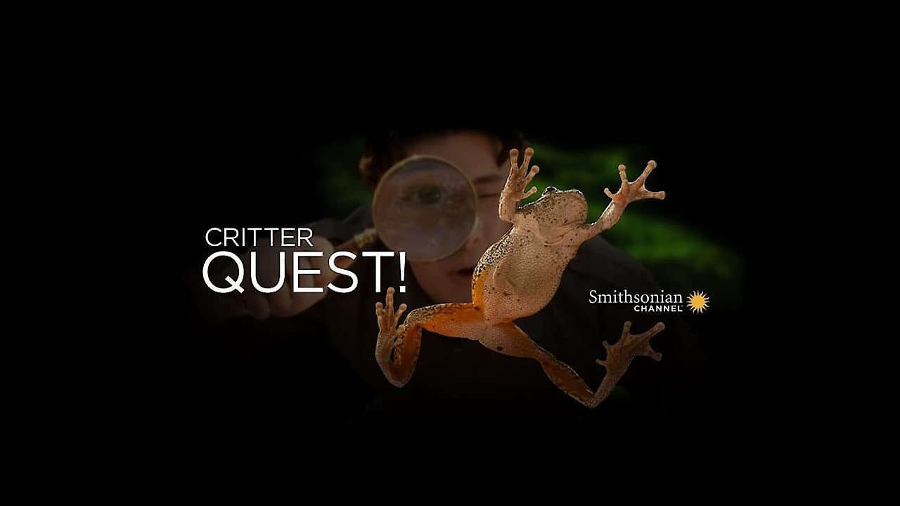 Critter Quest!