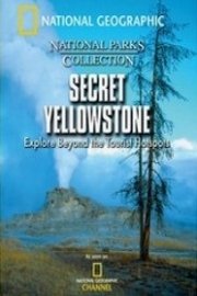 Secret Yellowstone