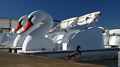 Shipping Wars Season 9 Episode 12