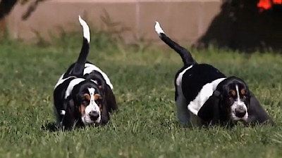 Too Cute Season 4 Episode 7