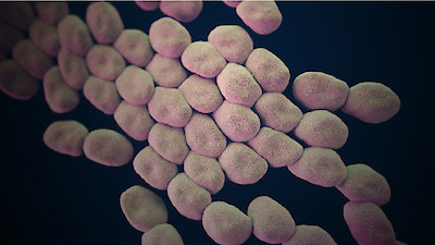 Frontline Season 31 Episode 14