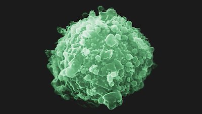 Frontline Season 24 Episode 13