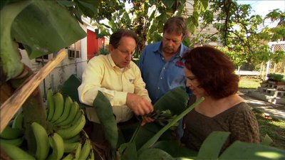 Ask This Old House Season 11 Episode 16