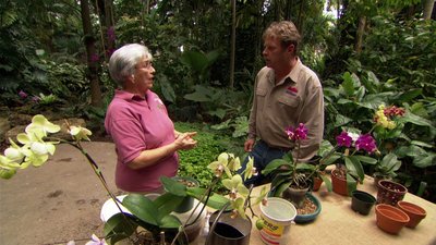 Ask This Old House Season 11 Episode 19