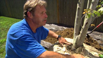 Ask This Old House Season 12 Episode 7