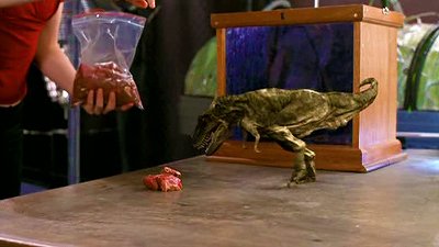 Wicked Science Season 1 Episode 26