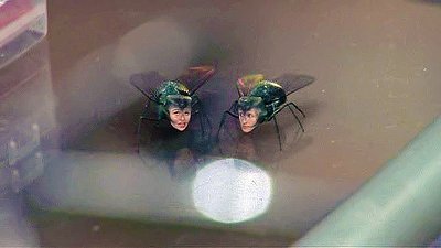 Wicked Science Season 2 Episode 1