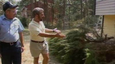 Home Again with Bob Vila Season 2 Episode 12