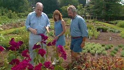 Home Again with Bob Vila Season 7 Episode 21