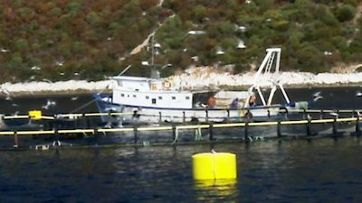 Anthony Bourdain: No Reservations Season 11 Episode 11