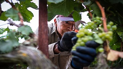 Independent Lens Season 20 Episode 18