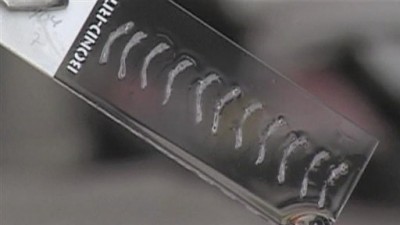 Independent Lens Season 9 Episode 11