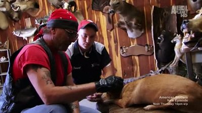 American Stuffers Season 1 Episode 1