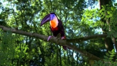 In The Night Garden Season 3 Episode 13