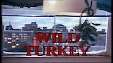 Wild Turkey