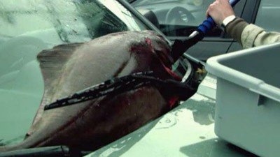 ReGenesis Season 2 Episode 11