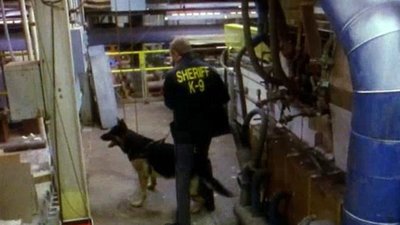 Unsolved Mysteries Season 14 Episode 129