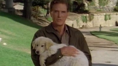 Unsolved Mysteries Season 3 Episode 9