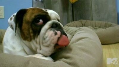 Rob Dyrdek's Fantasy Factory Season 3 Episode 8