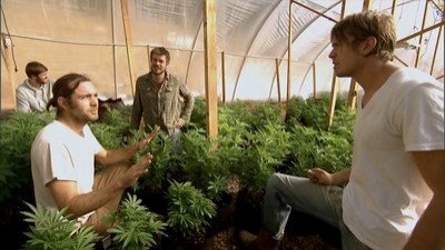 American Weed Season 1 Episode 1