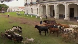 Watch La Que No Podia Amar Season 1 Episode 94 - Fuera De ...