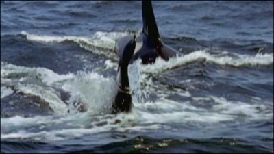 Built for the Kill Season 2 Episode 1