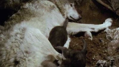 Built for the Kill Season 2 Episode 2