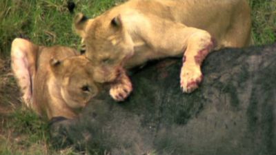 Built for the Kill Season 2 Episode 3