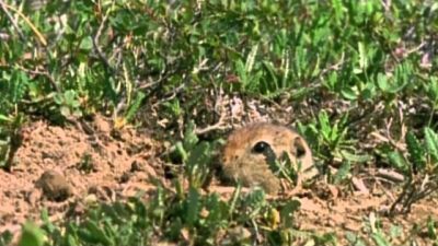 Built for the Kill Season 2 Episode 4