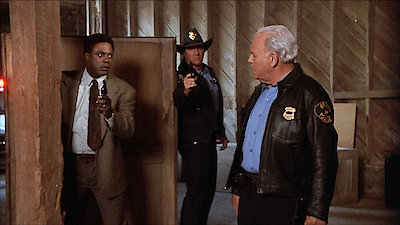 In the Heat of the Night Season 4 Episode 21