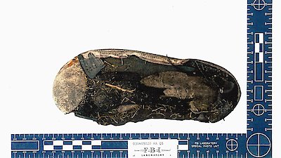 48 Hours Mystery Season 33 Episode 44