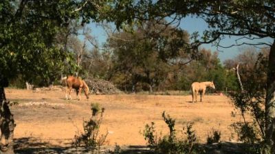 Rattlesnake Republic Season 1 Episode 3