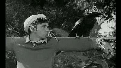 Gilligan's Island Season 1 Episode 8