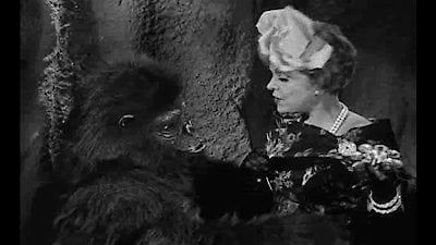 Gilligan's Island Season 1 Episode 23