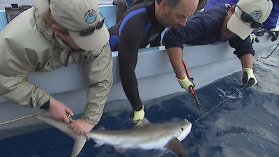 Saving the Ocean Season 1 Episode 1