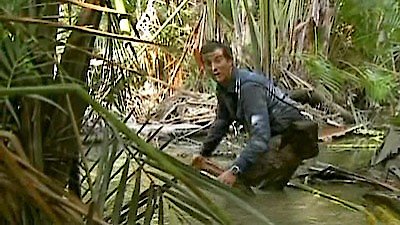 man vs wild full episodes free