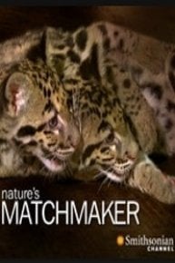 Nature's Matchmaker