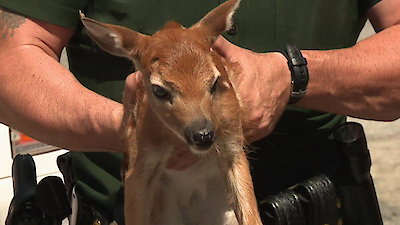 North Woods Law Season 9 Episode 2