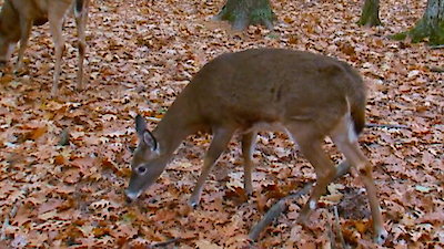 North Woods Law Season 1 Episode 15