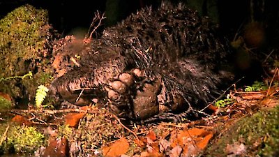 North Woods Law Season 4 Episode 100